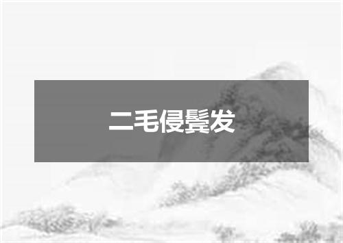 二毛侵鬓发