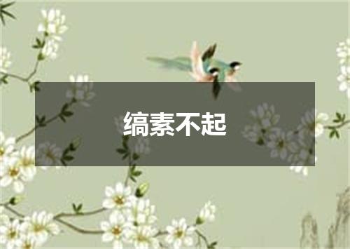 缟素不起