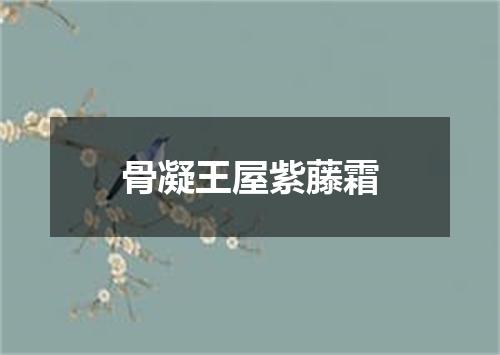 骨凝王屋紫藤霜
