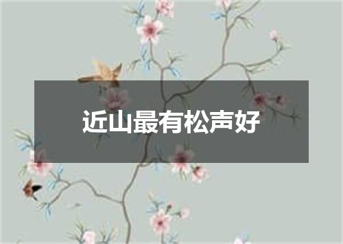 近山最有松声好