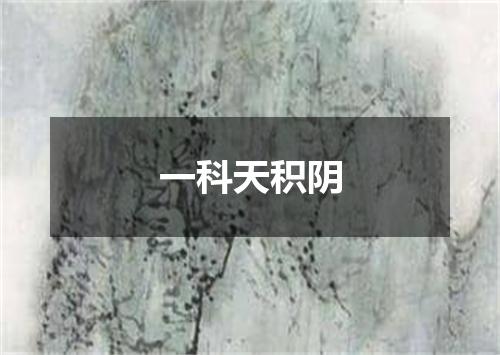 一科天积阴