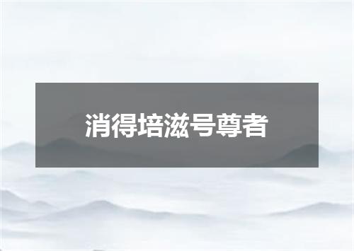 消得培滋号尊者