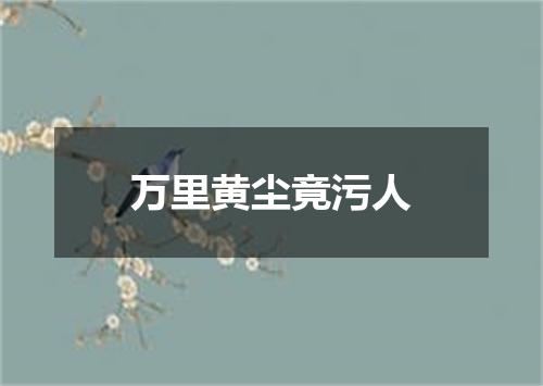 万里黄尘竟污人