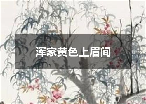 浑家黄色上眉间