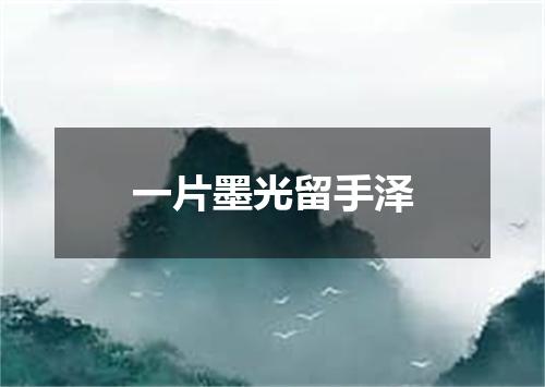 一片墨光留手泽
