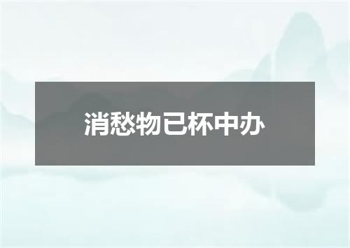 消愁物已杯中办