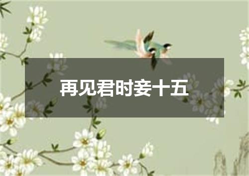 再见君时妾十五