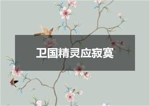 卫国精灵应寂寞