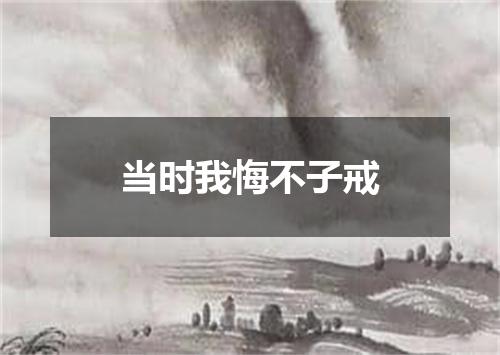 当时我悔不子戒