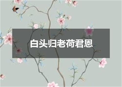 白头归老荷君恩