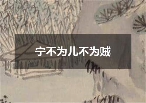 宁不为儿不为贼