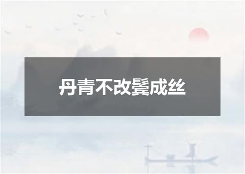 丹青不改鬓成丝