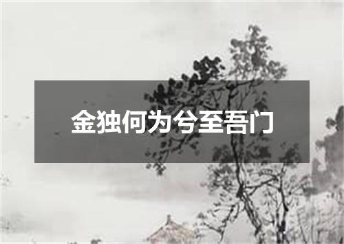 金独何为兮至吾门