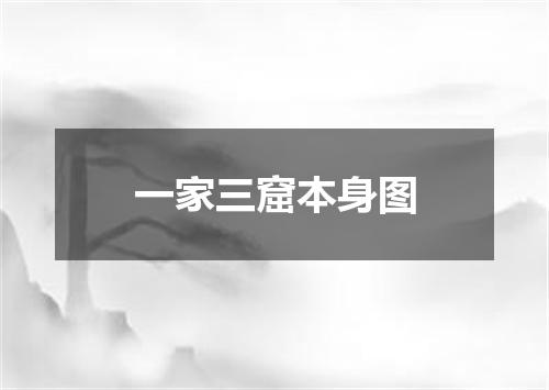 一家三窟本身图