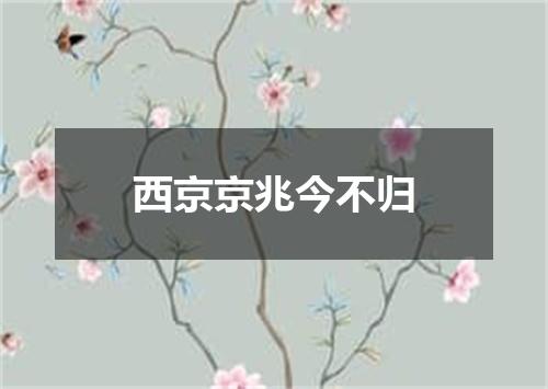 西京京兆今不归