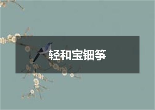轻和宝钿筝
