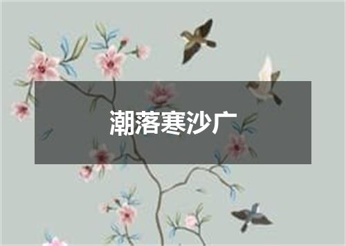 潮落寒沙广