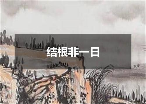 结根非一日