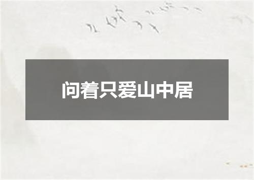 问着只爱山中居