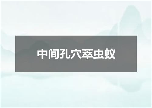 中间孔穴萃虫蚁