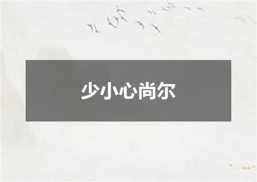 少小心尚尔