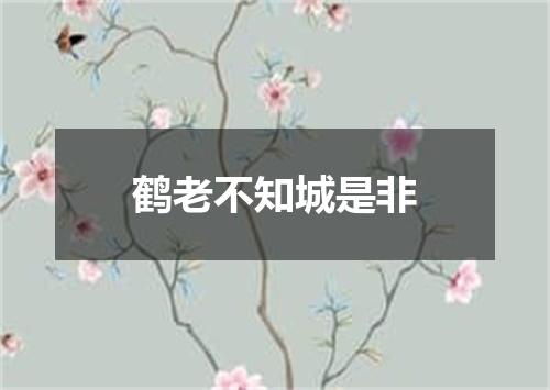 鹤老不知城是非