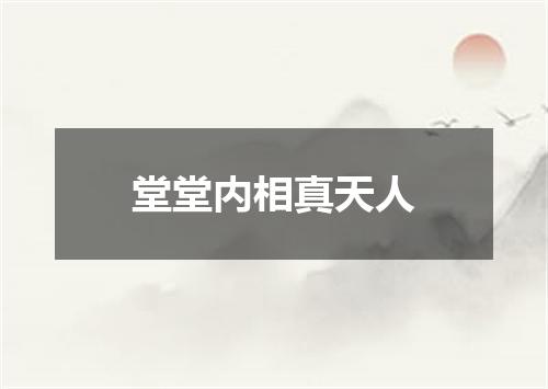 堂堂内相真天人
