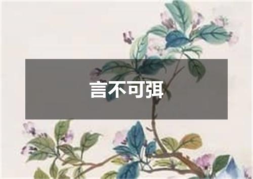 言不可弭