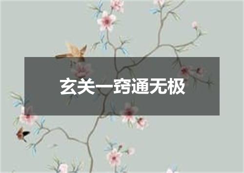 玄关一窍通无极