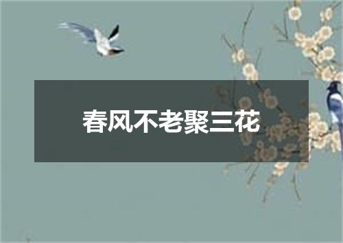 春风不老聚三花