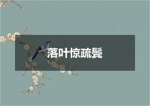 落叶惊疏鬓