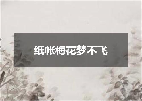 纸帐梅花梦不飞