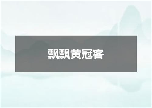飘飘黄冠客