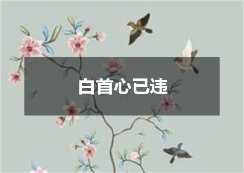 白首心已违