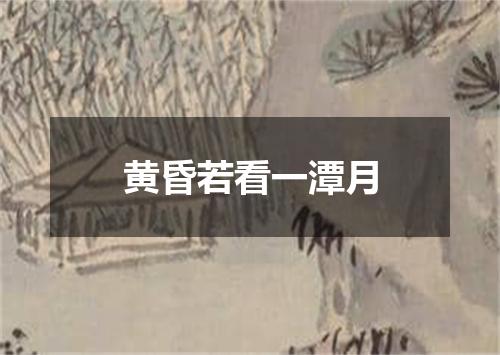 黄昏若看一潭月
