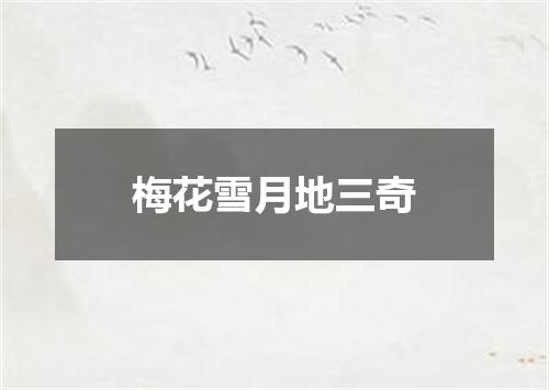 梅花雪月地三奇