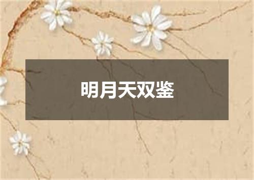 明月天双鉴