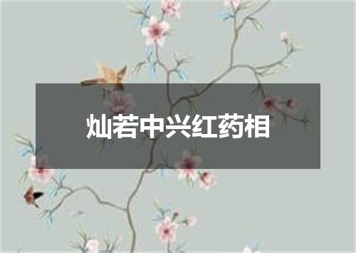 灿若中兴红药相