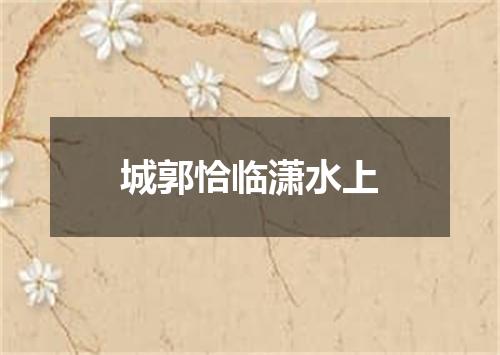 城郭恰临潇水上