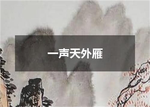 一声天外雁