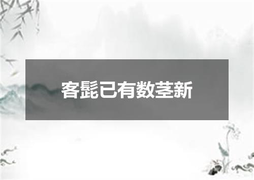 客髭已有数茎新