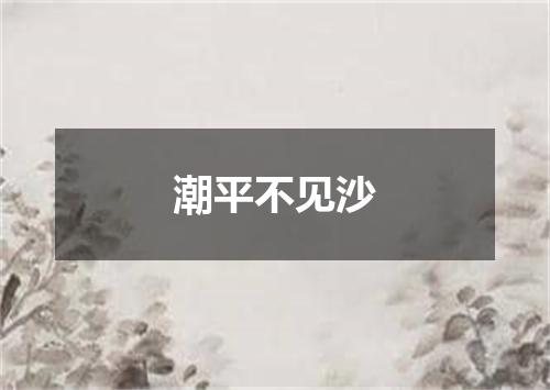 潮平不见沙