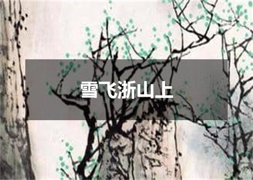 雪飞浙山上