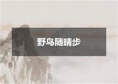 野鸟随晴步