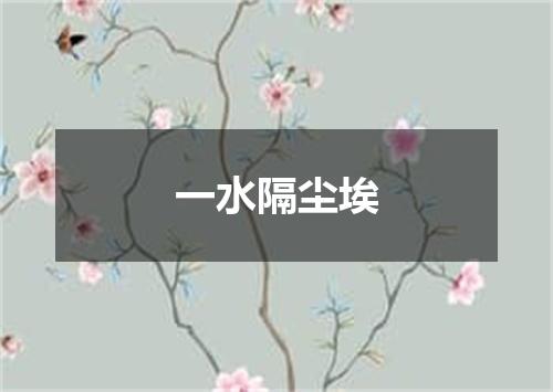 一水隔尘埃