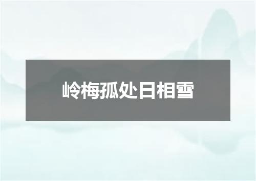 岭梅孤处日相雪