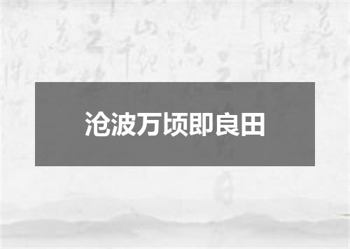 沧波万顷即良田