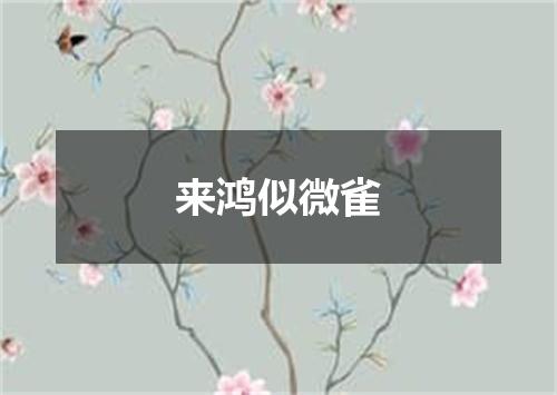 来鸿似微雀