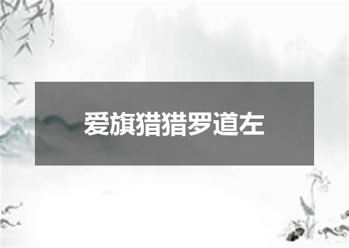 爱旗猎猎罗道左