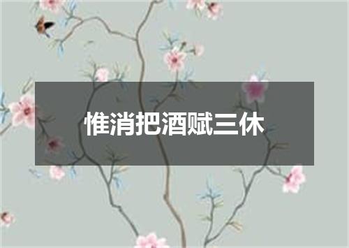 惟消把酒赋三休